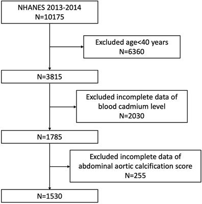 Higher Blood Cadmium Concentration Is Associated With Increased Likelihood of Abdominal Aortic Calcification